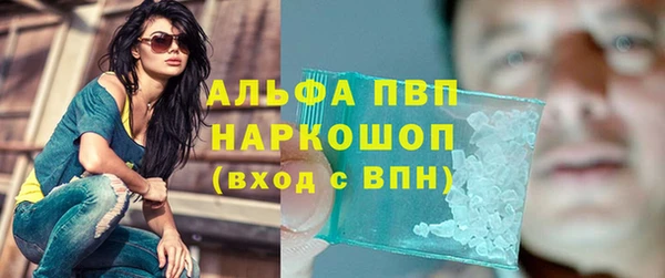гидропоника Пересвет