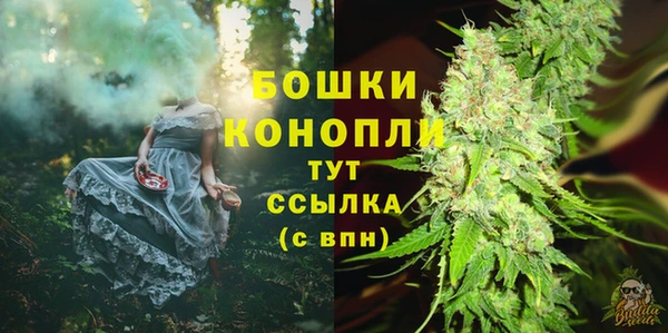 крисы Пестово