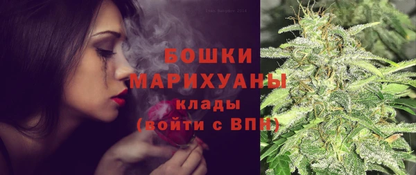 крисы Пестово
