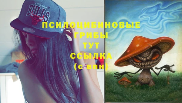 mdma Переславль-Залесский