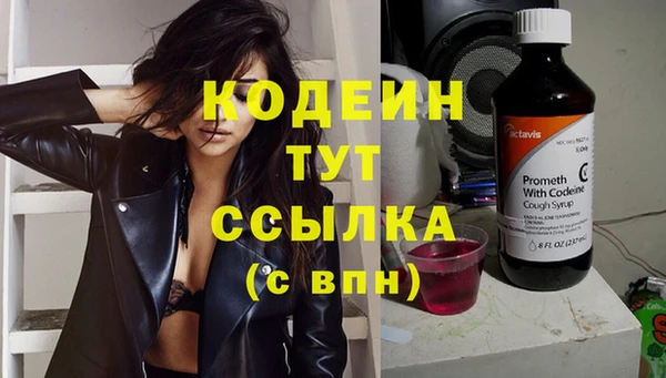крисы Пестово