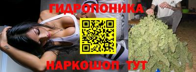 молекула духа Кандалакша