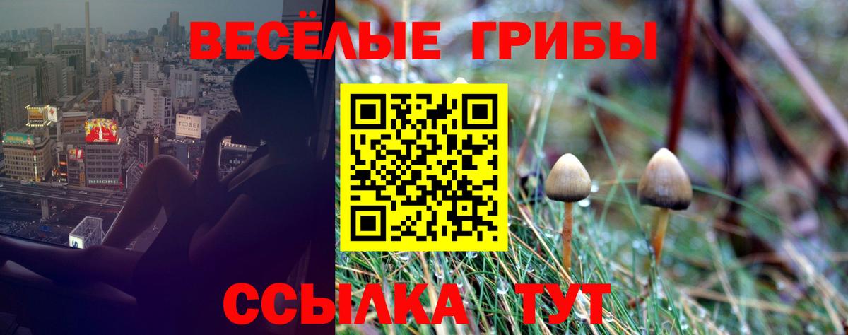 Полевской  Галлюциногенные грибы Cubensis  Вход с VPN  Галлюциногенные грибы прущие грибы 