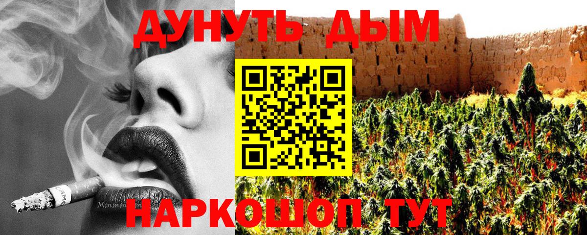 Конопля гибрид  Полевской  МАРИХУАНА Ganja 